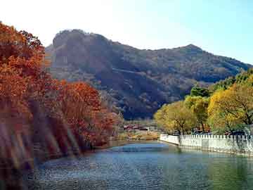 澳门天天免费精准大全，毛岸青 精神病